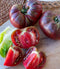 Tomato Black Krim